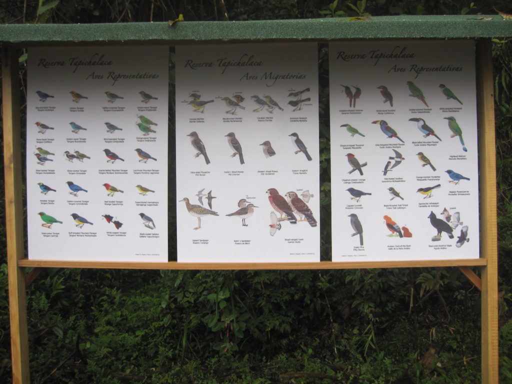 A list of all the birds in the area around the bird sanctuary.