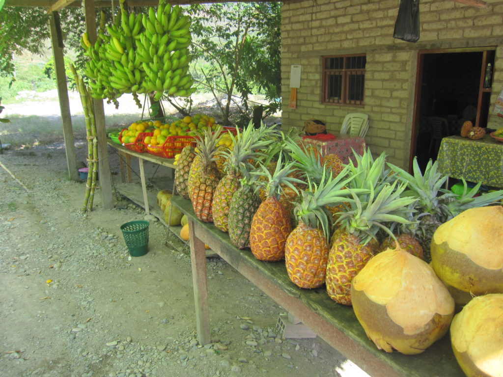 Back to cycling through areas with an abundance of fresh fruit.